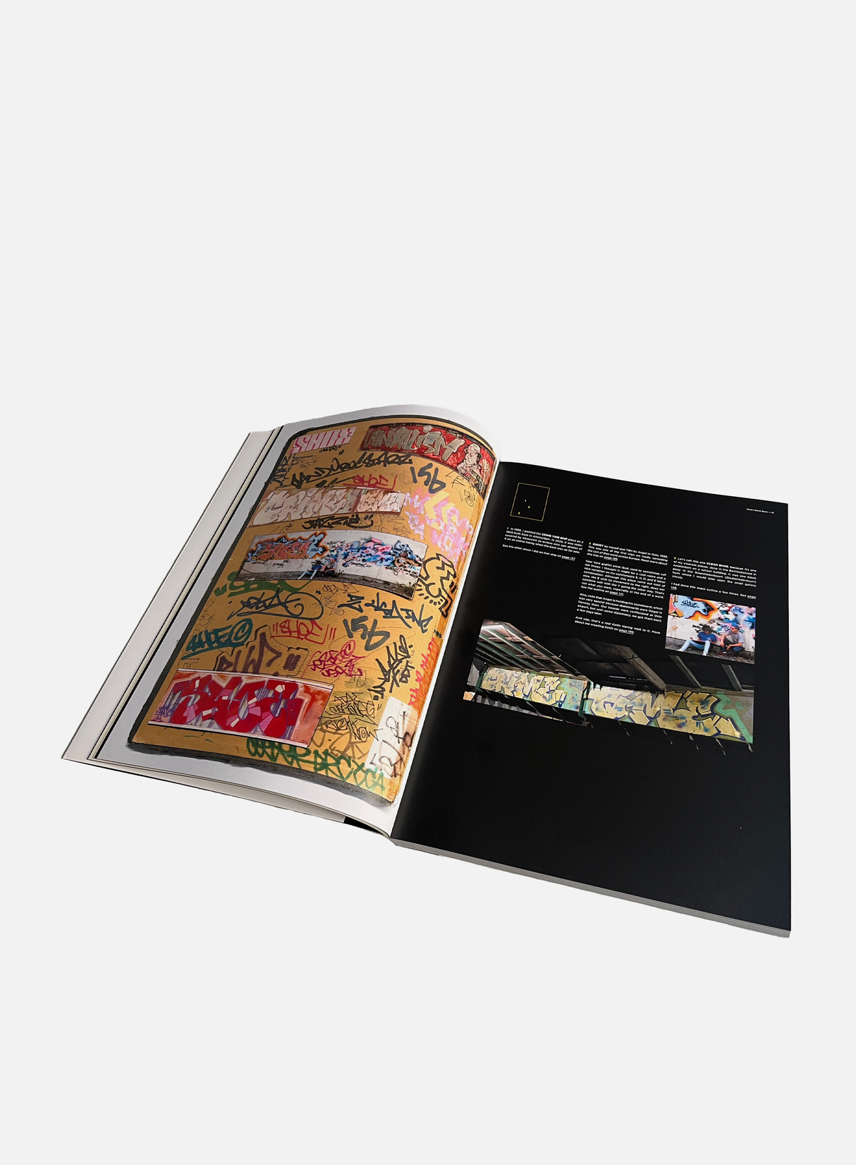 Niels Shoe Meulman "Black Book Graffiti in the 1980s"