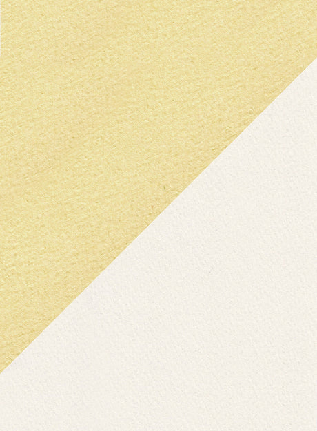 Favini Canvas Calligraphy A4 100 gr