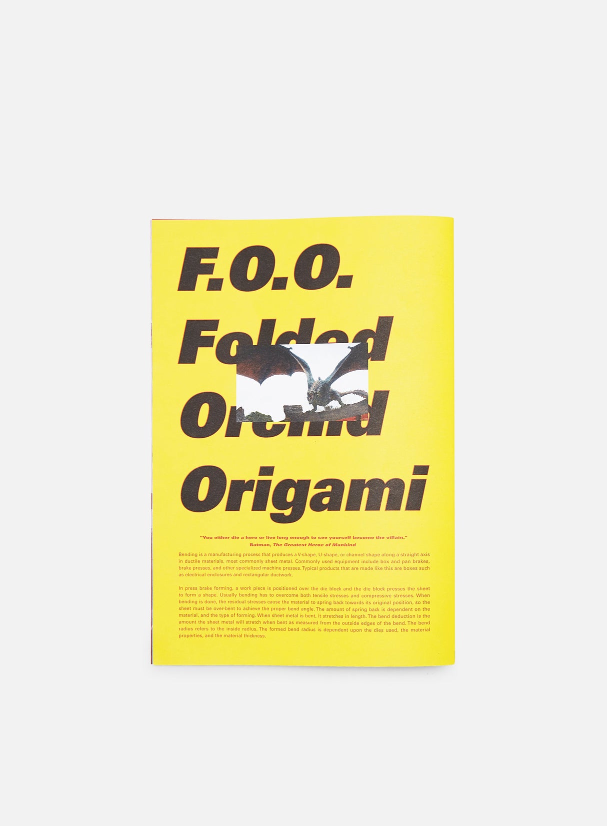 Di Salvo F.O.O. Book