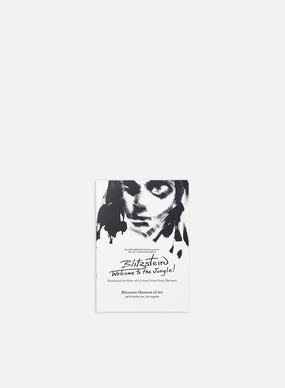 Gingko Skateboard Museum Zine Collection
