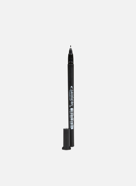 Sakura Pigma Calligrapher Pen 10. (Fineliner)