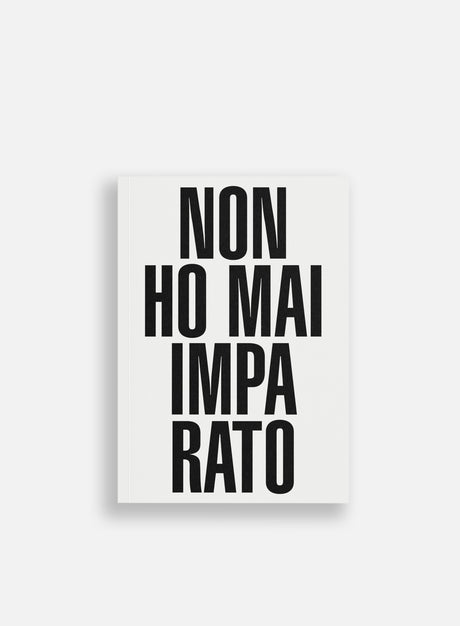 Hube "Non Ho Mai Imparato". (SPECTRUM Graffiti Shop)