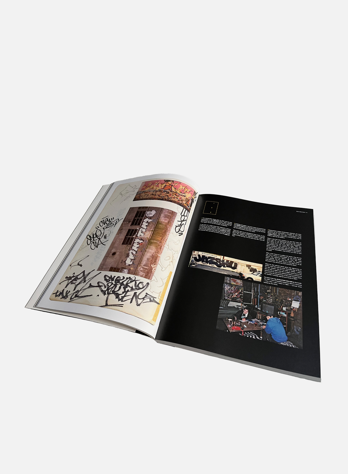 Niels Shoe Meulman "Black Book Graffiti in the 1980s"