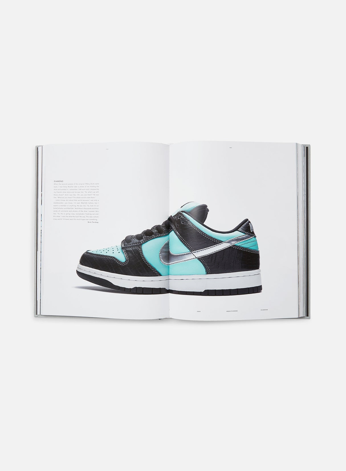 Rizzoli New York Nike SB: The Dunk Book